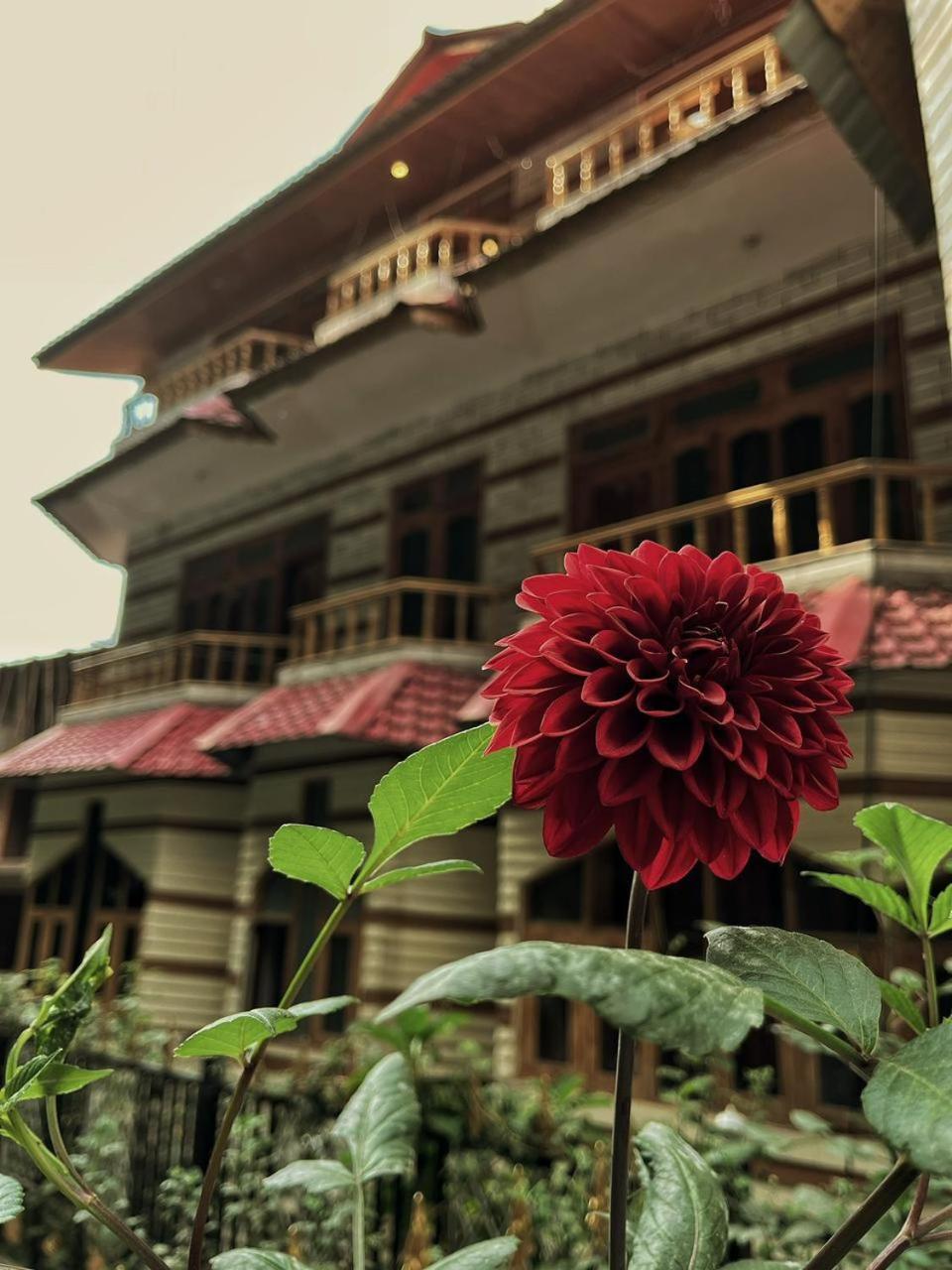 Hotel Anupam Kasol Luaran gambar